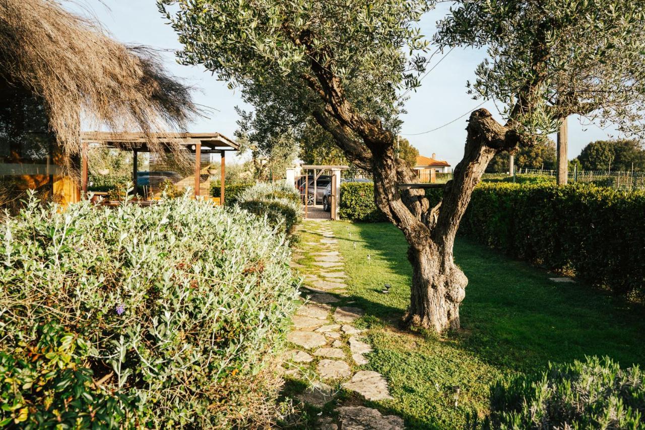 Agriturismo Sweet Cottage Marina di Grosseto Dış mekan fotoğraf