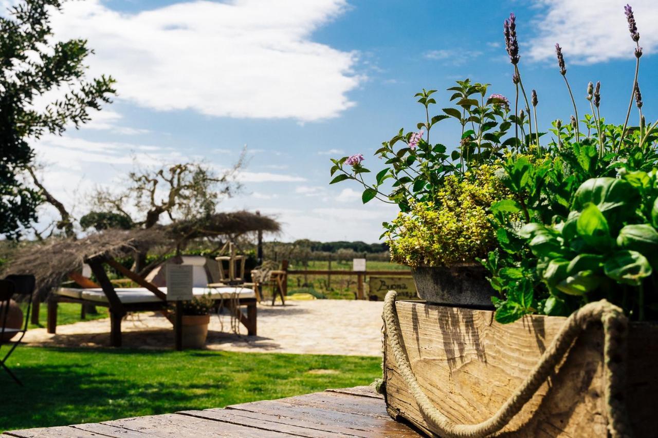 Agriturismo Sweet Cottage Marina di Grosseto Dış mekan fotoğraf